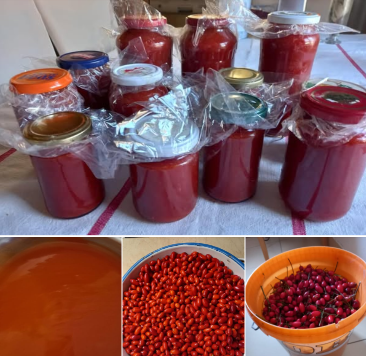 Homemade Fruit Preserves (Lekvárok) Capture d’écran 2024-12-29 012956