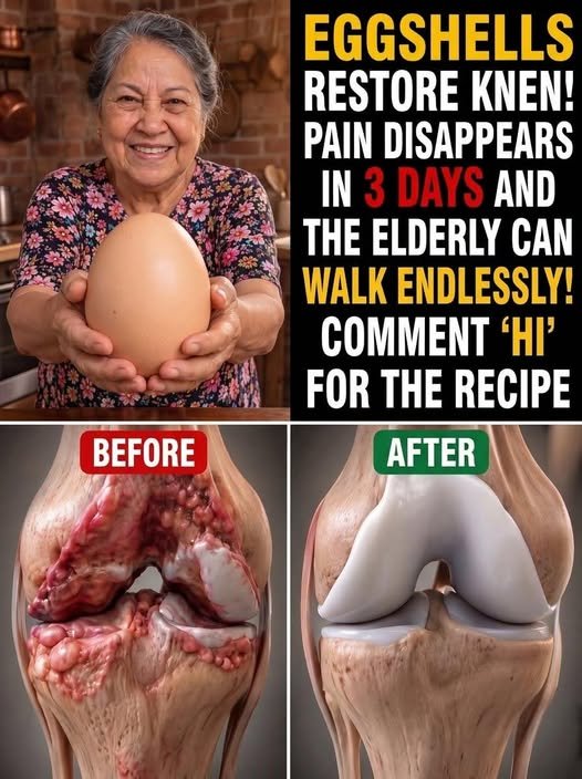Eggshells and Knee Health: What They Really Offer for Bones, Joints and Healthy Movement 834870781_1140097971919833_8092750516596930728_n